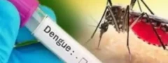 దేశంలోనే తొలి డెంగ్యూ వ్యాక్సిన్​కు కేంద్రం ఆమోదం