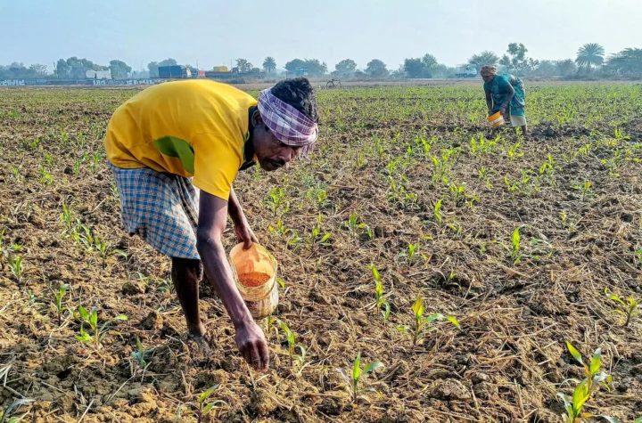 జూన్‌లో అతి తక్కువ వర్షపాతంతో వ్యవసాయంకు ముప్పు