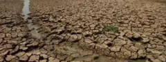 తెలంగాణాలో 20-25 లక్షల ఎకరాల్లో ఎండిపోయిన పంటలు
